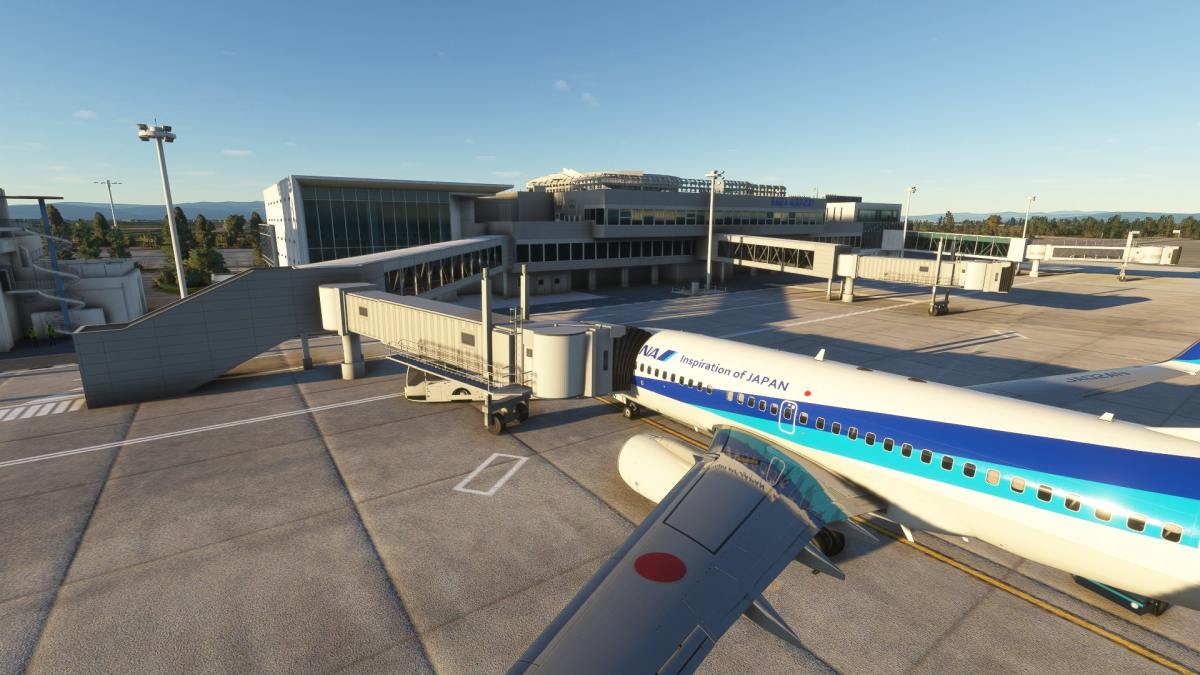 Microsoft Flight Simulator Saga
