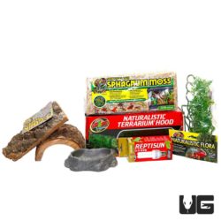Dart Frog Setup For Sale - Underground Reptiles