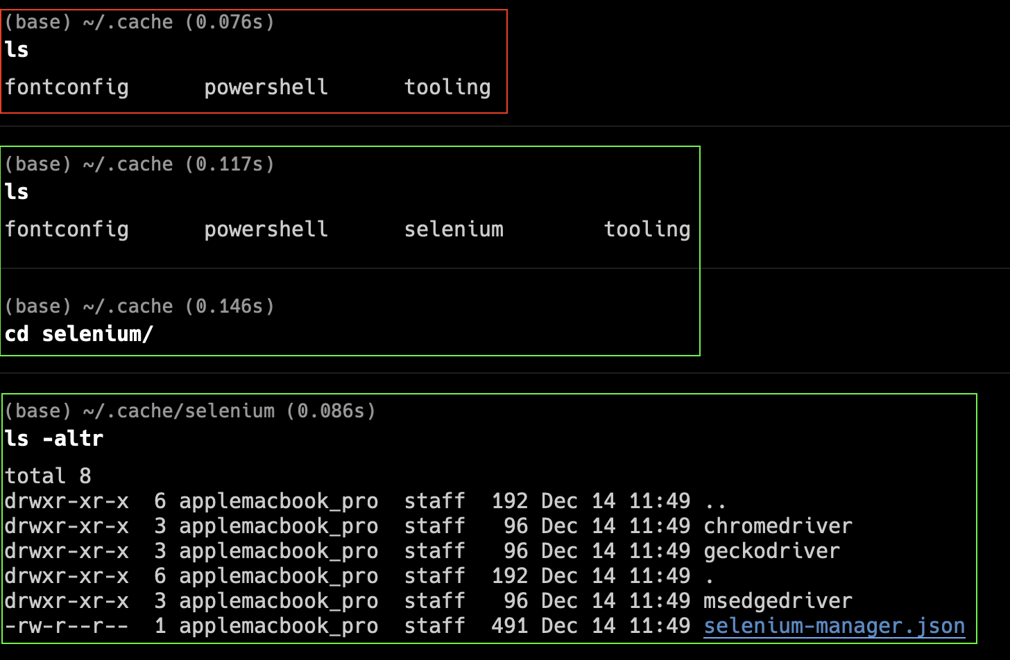 CMD_Selenium_Manager