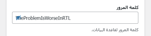 Password field in Arabic at 500 pixels wide