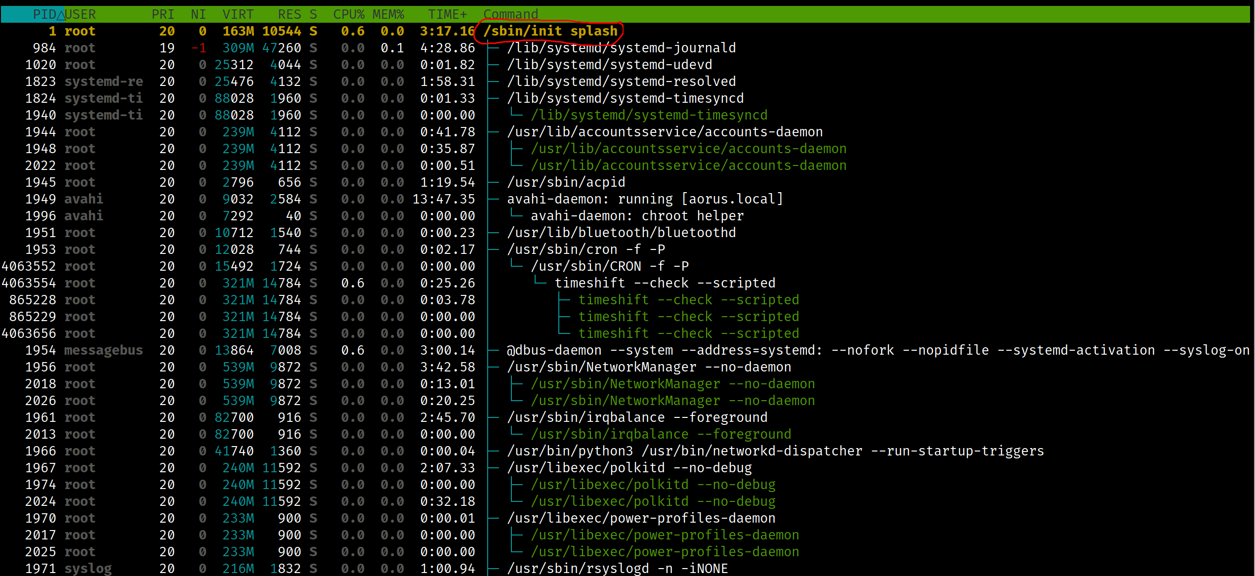 htop-sbin-init-splash