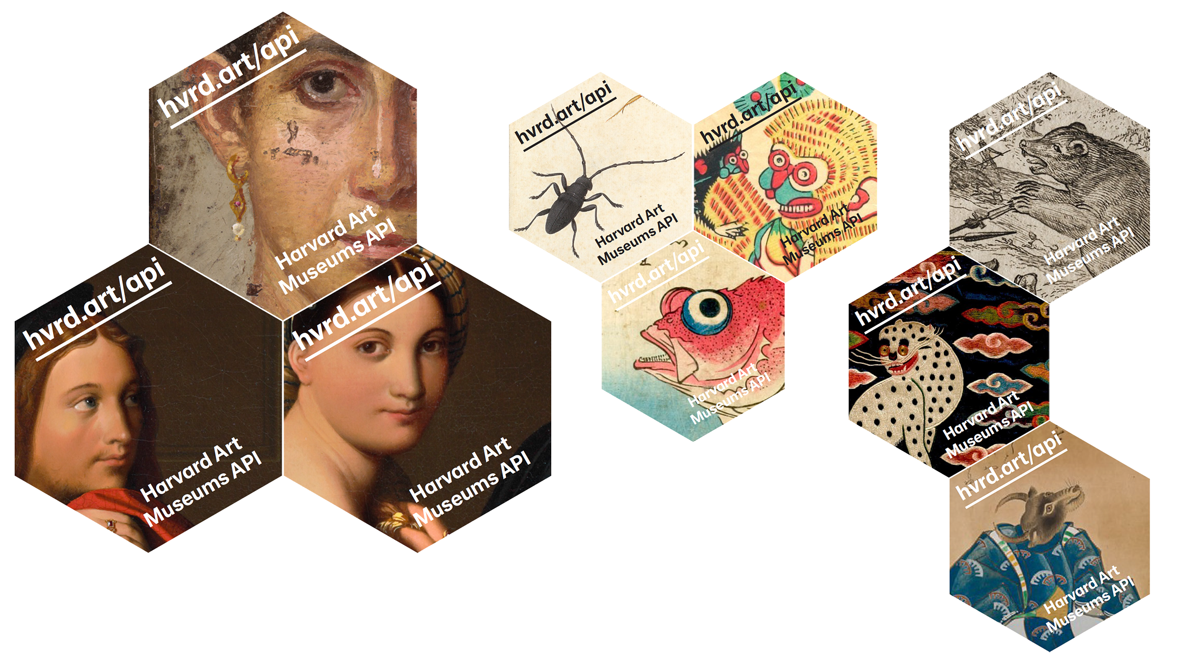 A collage of nine hexagons each containing a part of an image from the museum's collection