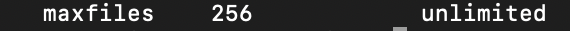 Screenshot 2020-07-02 at 7 02 40 PM