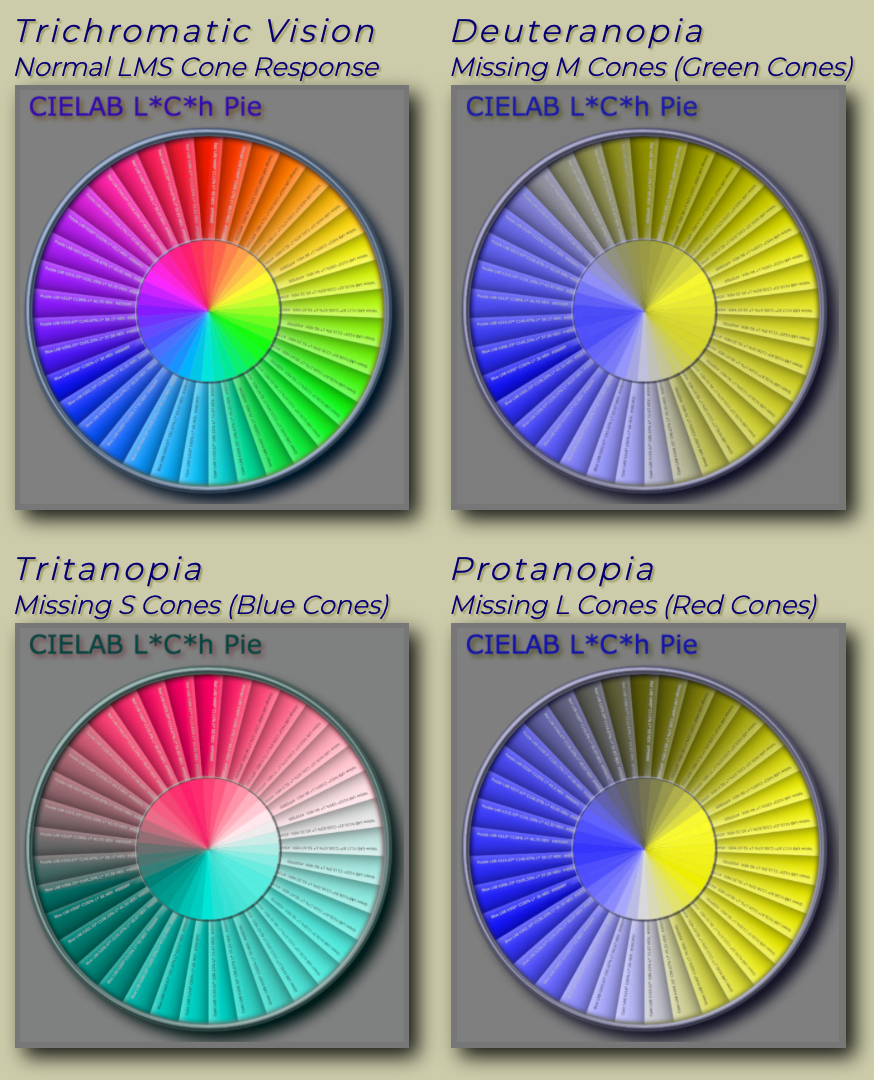 CVD color wheels small - color wheels showing different CVD types