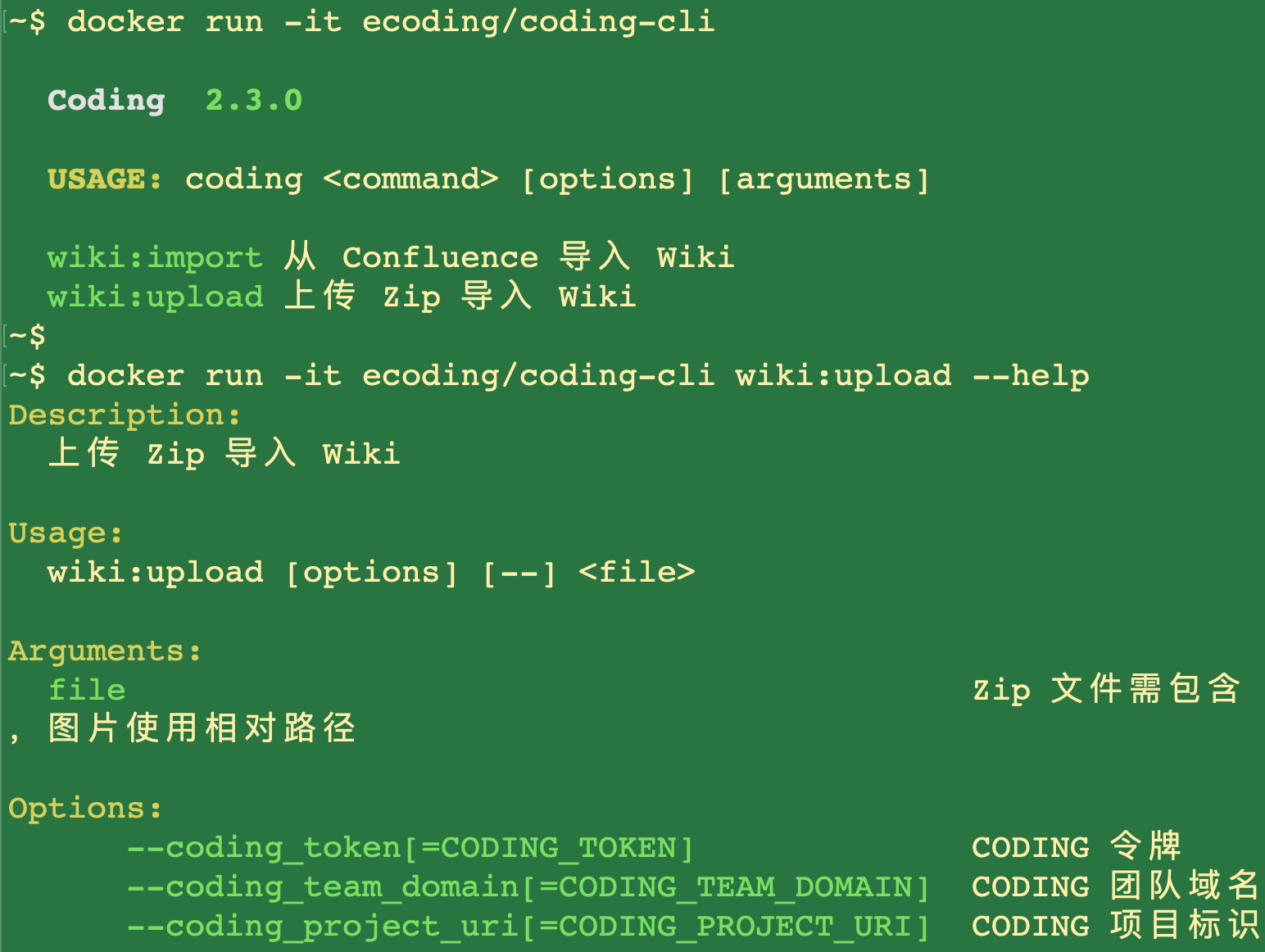 docker run coding cli