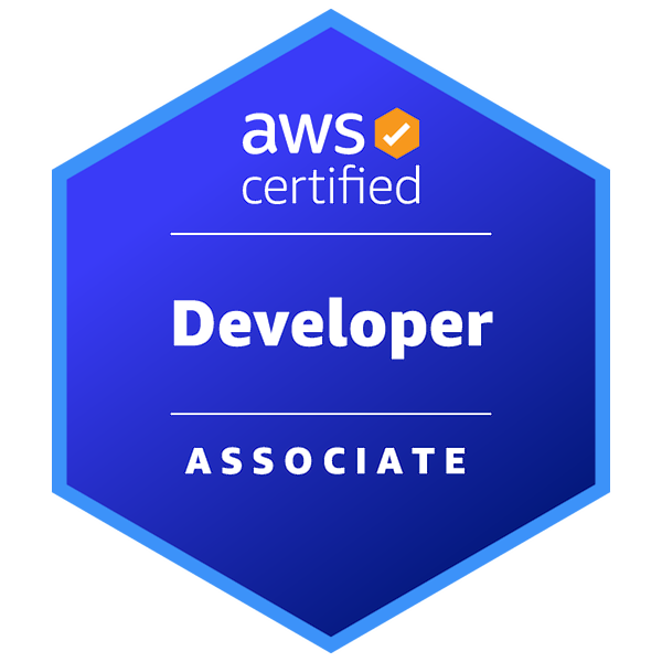 aws-certified-developer-associate