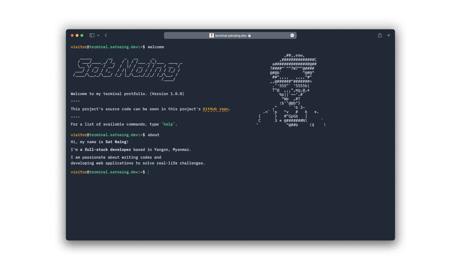 Terminal Portfolio Website by Sat Naing