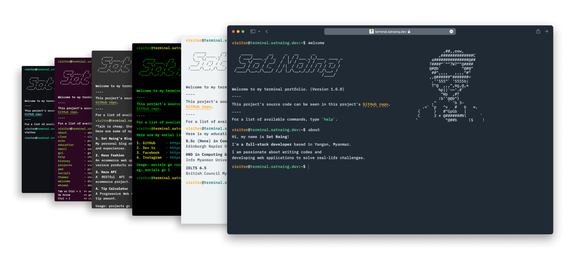 terminal-portfolio-themes