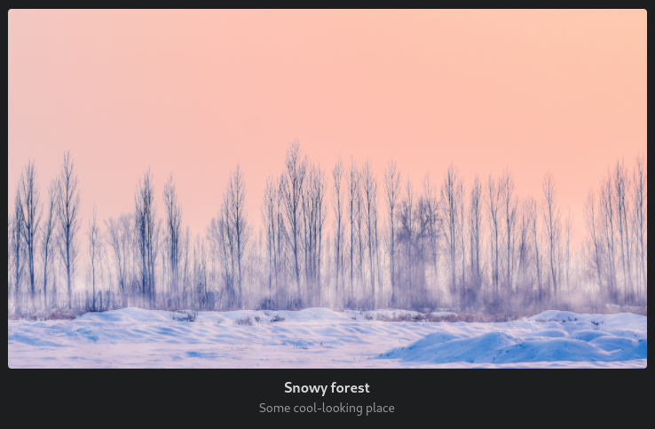 image with title and caption