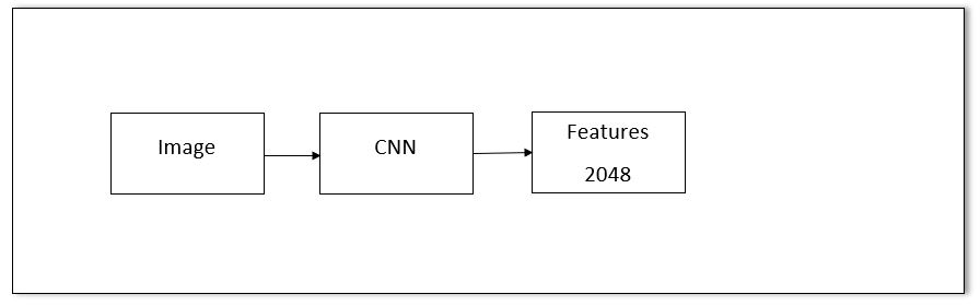 cnn