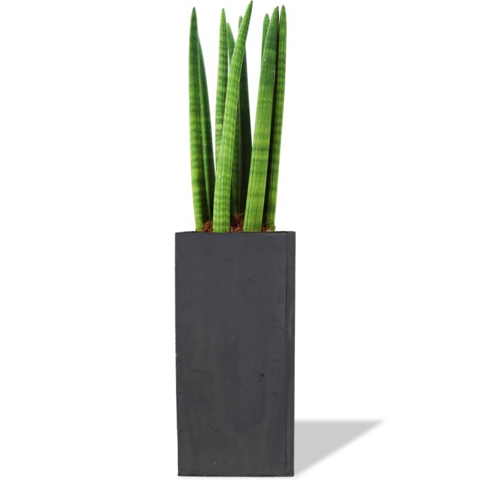 10 Inch Tall Wood Planters 5 X 5 Opening