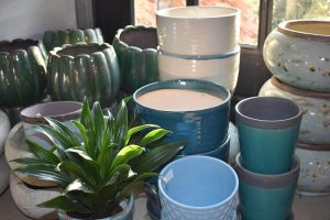 Indoor-pottery-for-plants-at-nashville-garden-center