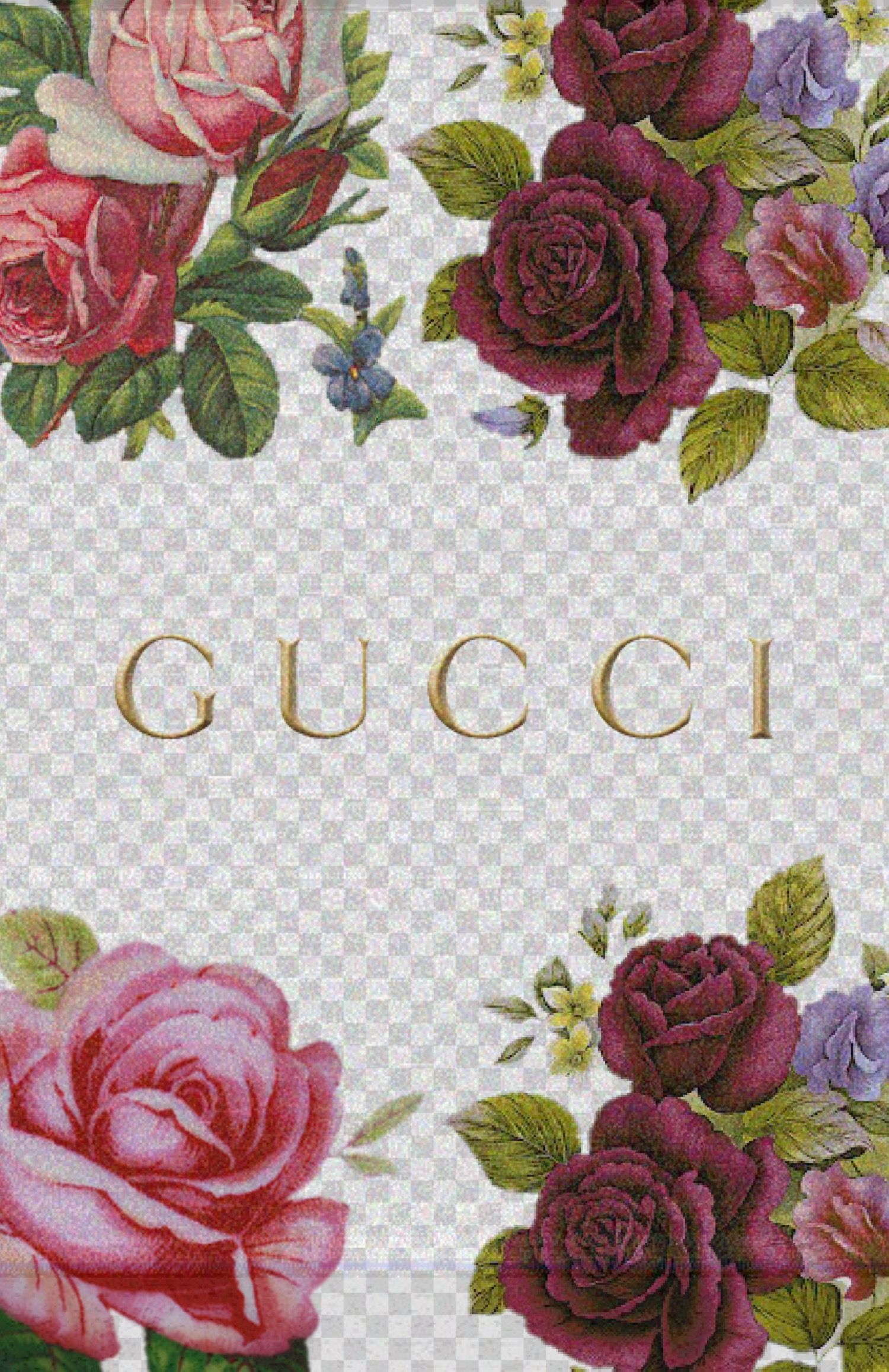 Rose Gold Background Gucci Wallpaper