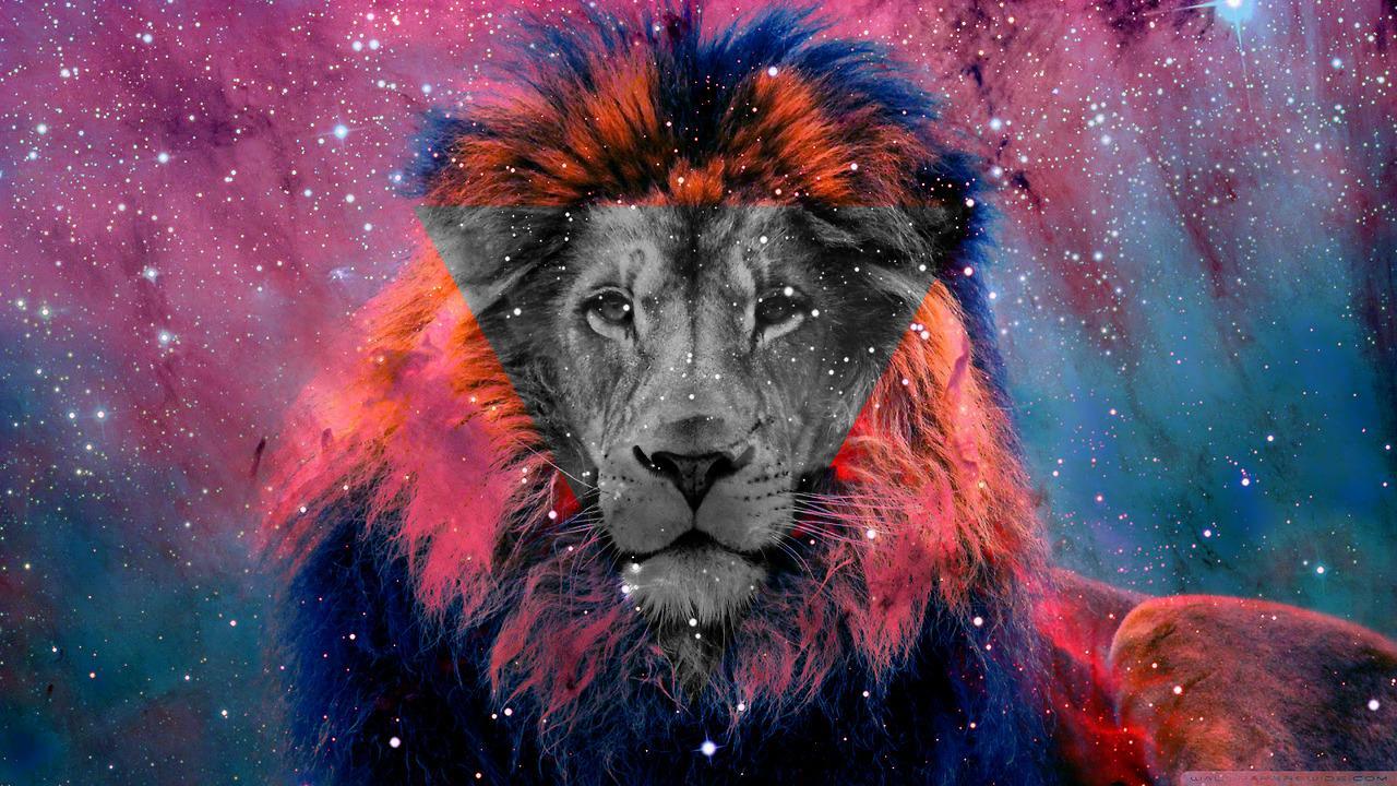 Galaxy Cool Lion Wallpapers