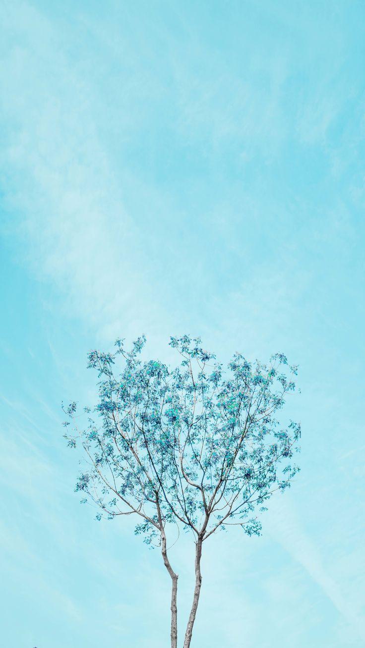 Baby Blue Cute Wallpapers Vsco