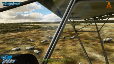 Okavango Delta - Microsoft Flight Simulator screenshot