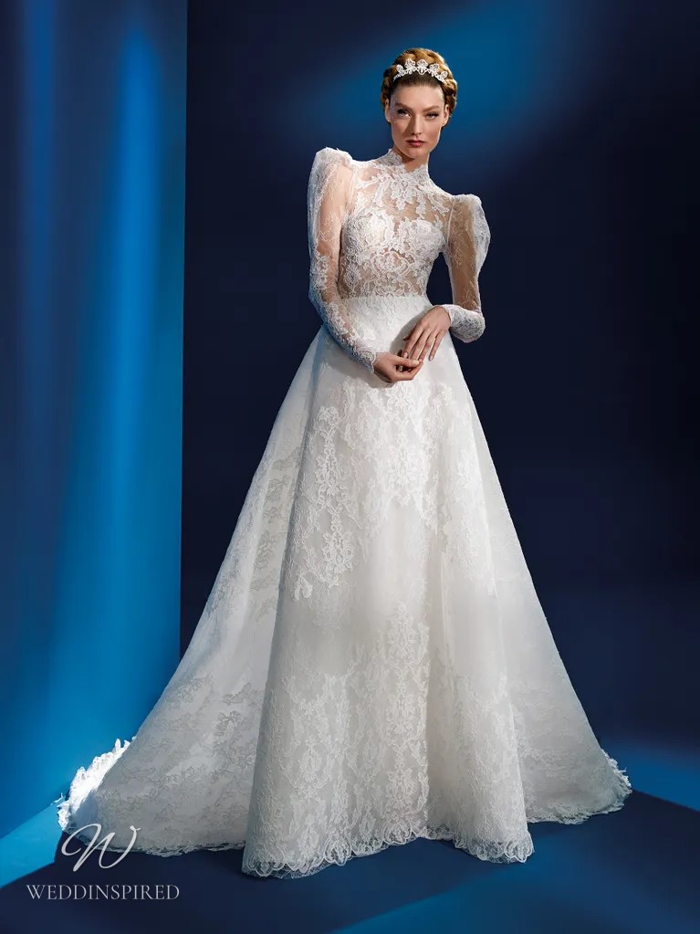 atelier pronovias 2023 wedding dress dauphine lace a-line long sleeves vintage
