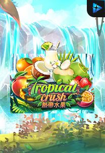 Bocoran RTP Slot Tropical-Crush di WEWHOKI
