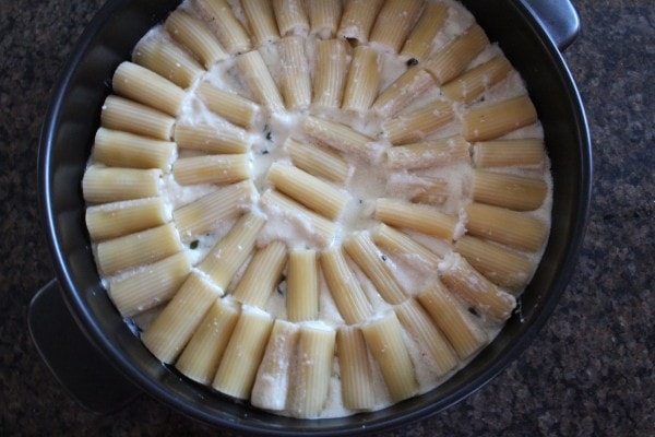 Cheese Filled Baked Rigatoni
