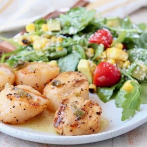 Grilled scallops on plate with arugula salad