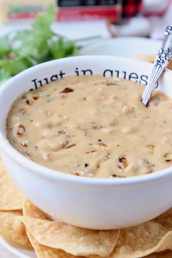French onion dip in bowl with spoon, surrounded by tortilla chips