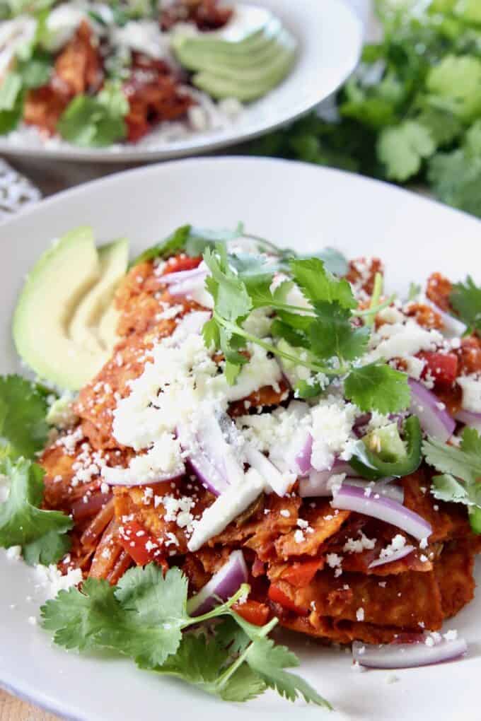 chilaquiles on plate topped with fresh cilantro and red onion