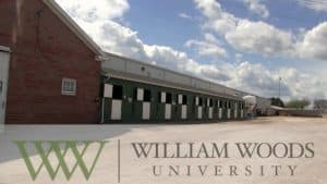 دانشگاه ویلیام وود
