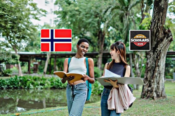 Estudia a l'estranger a Noruega