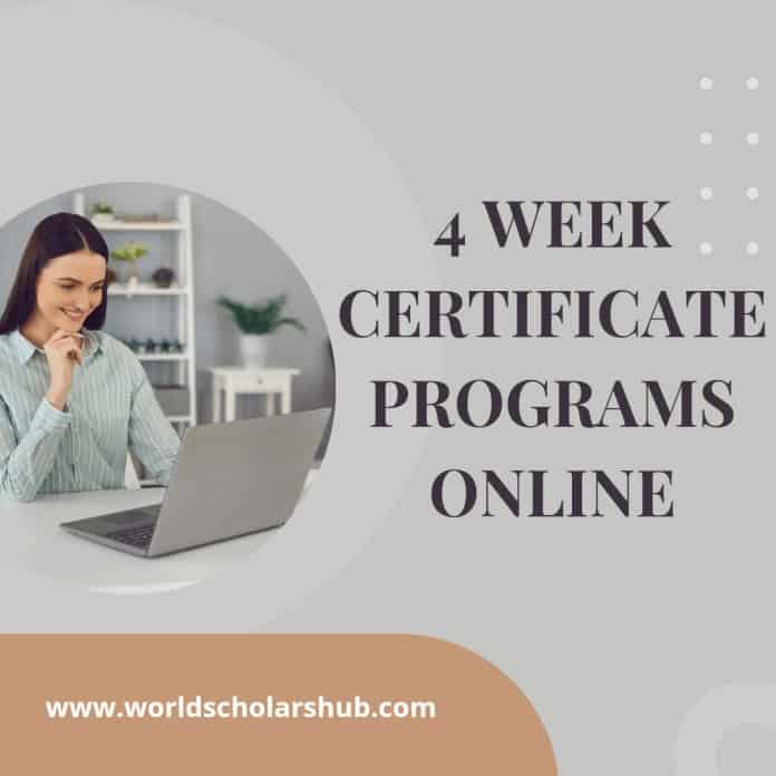 4 nedēļu sertifikātu programmas tiešsaistē
