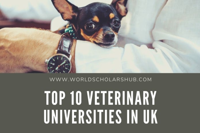 Sab saum toj Veterinary Universities hauv UK