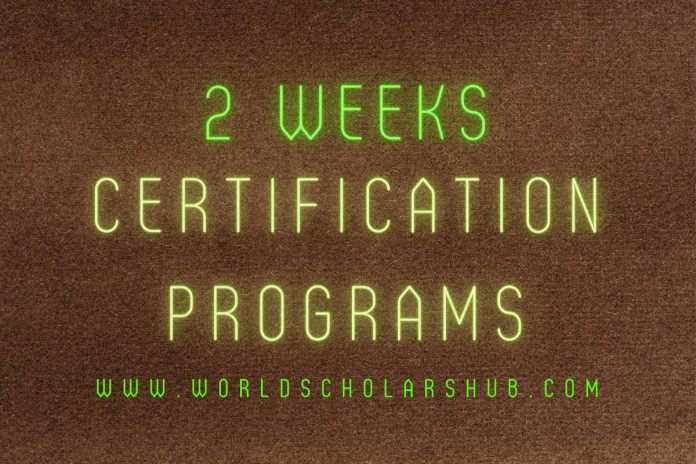 2 savaičių sertifikavimo programos