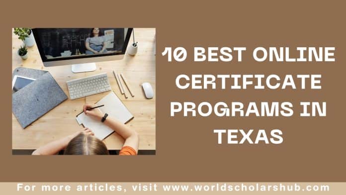 programes de certificats en línia a Texas