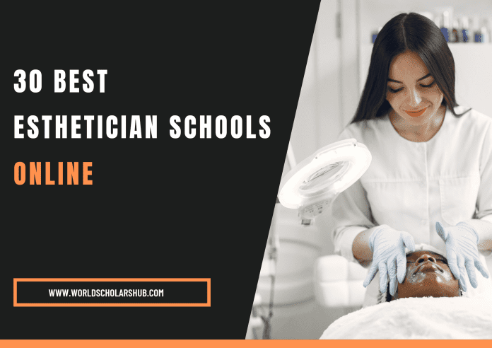Best Esthetician Schools Online
