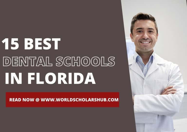 أفضل مدارس طب الأسنان في فلوريدا