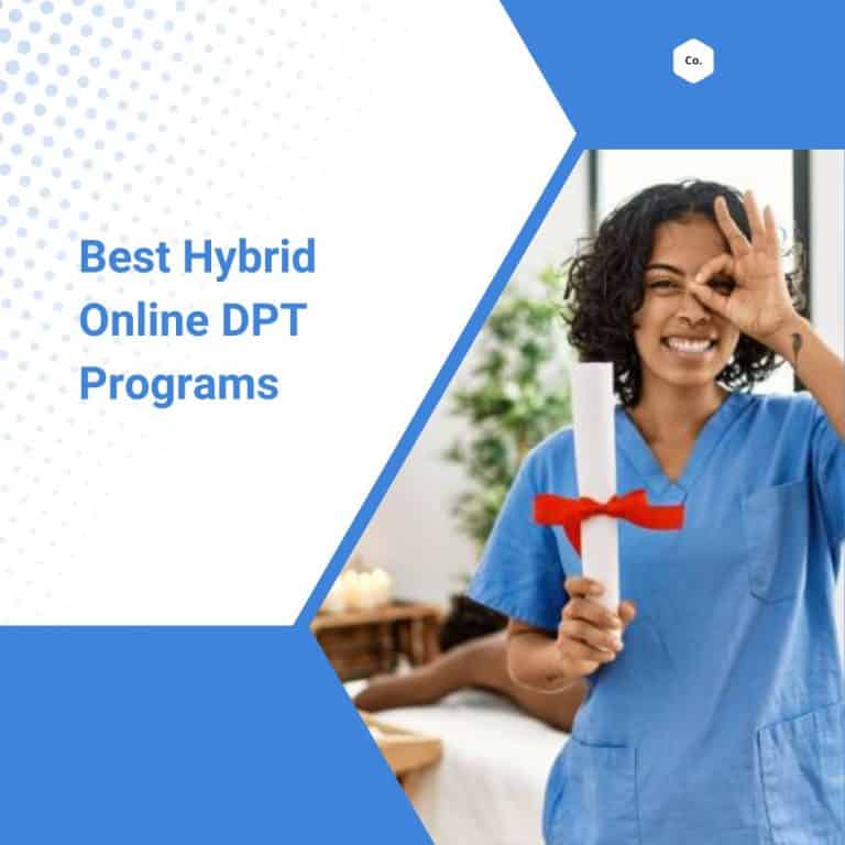 best-hybrid-ออนไลน์-DPT-Programs