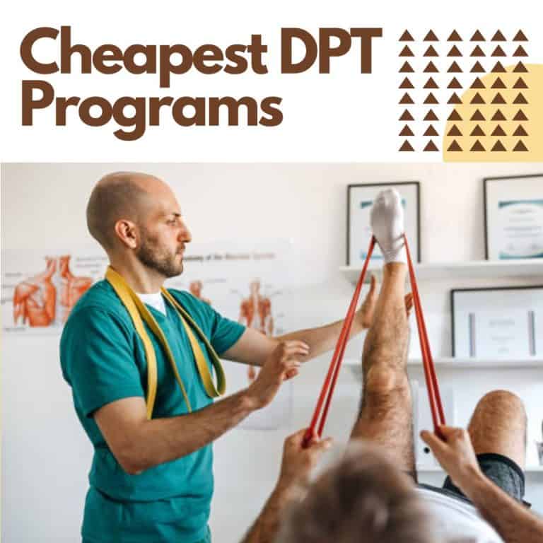 Cheapest-DPT-Programs