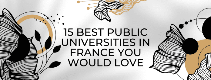 veřejné univerzity ve Francii
