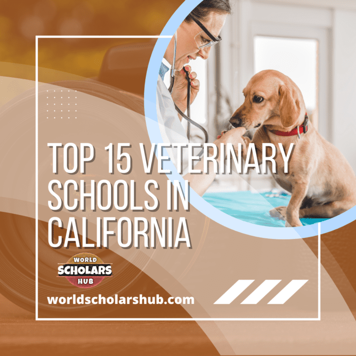 15 בתי ספר וטרינריים מובילים בקליפורניה