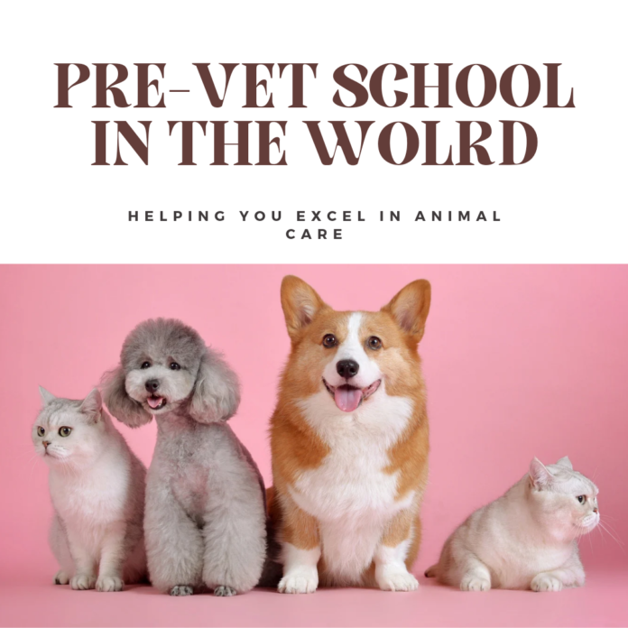 15 meilleures écoles pré-vétérinaires au monde