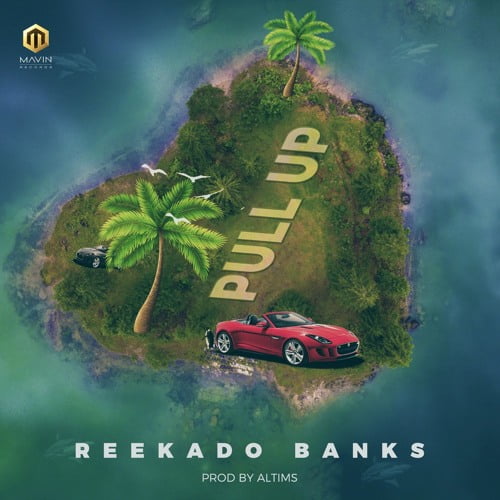 Reekado Banks - Pull Up (AUDIO)