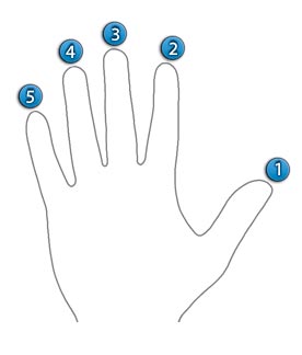 Mão esquerda (Numeração)