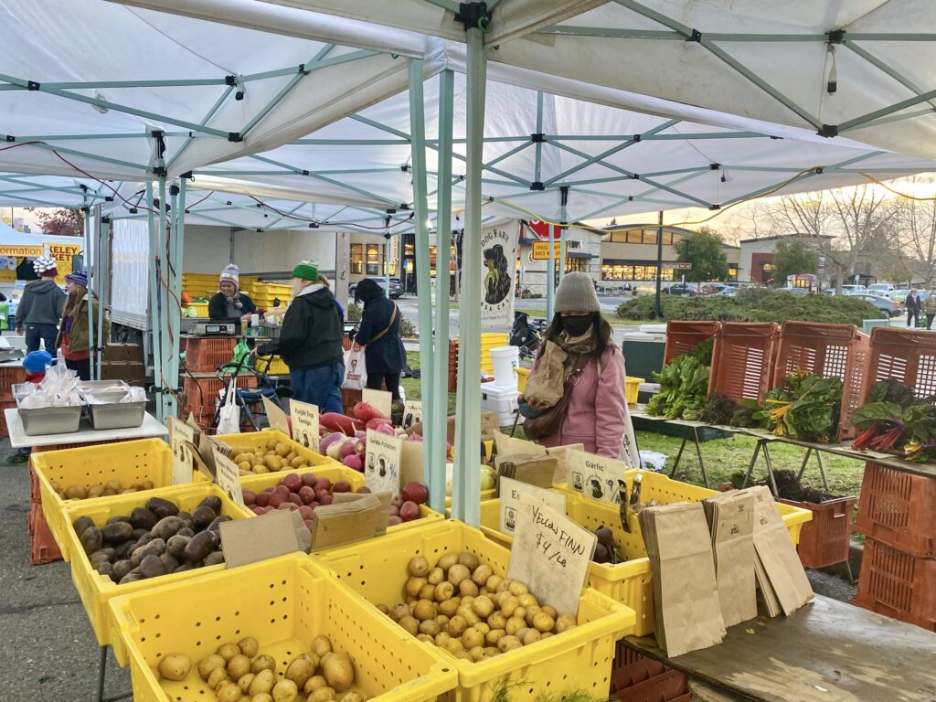 Students with farmers' market jobs gain valuable work experience