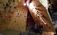 Home Bouldering Wall Design