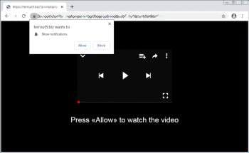 Press Allow to watch the video Notification Page Image