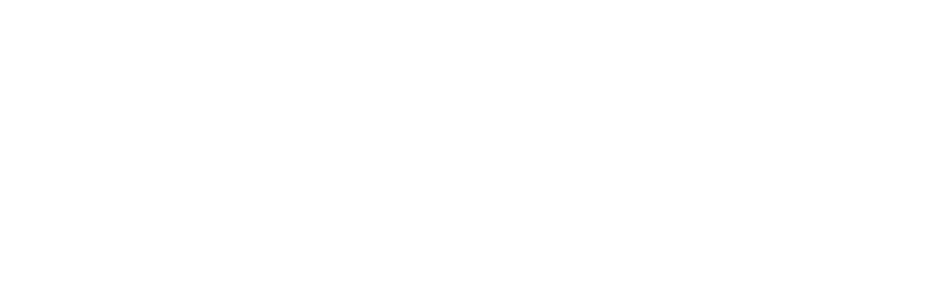 Logo Stichting Zorggeschil