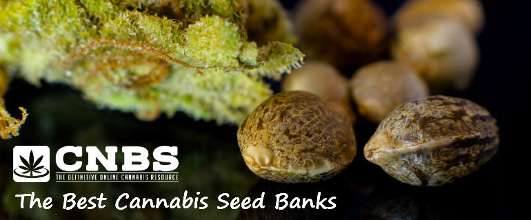 CNBS Best Cannabis Seed Banks