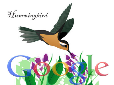 גוגל Hummingbird