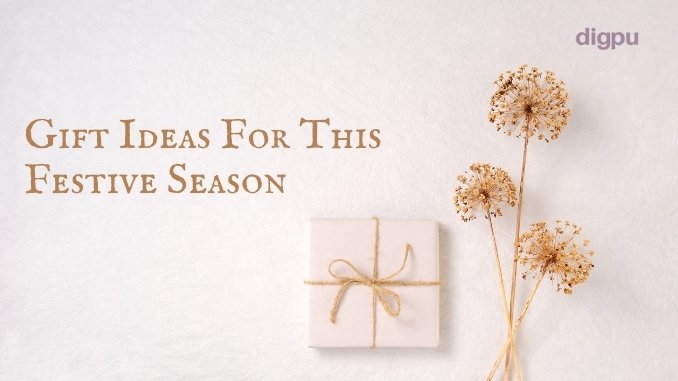 Top 10 Gift Ideas for This Festive Season - Digpu News
