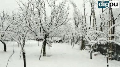 Snowfall In Kashmir On New Year’s Eve, Kashmir witnesses moderate snowfall - Digpu News