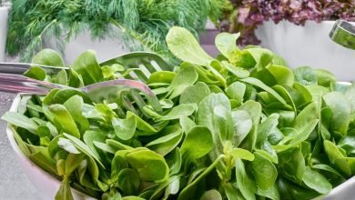 One cup of leafy green vegetables a day keeps heart diseases away: Study